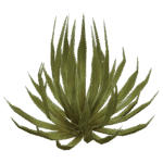 plants and trees png pack - Image 4